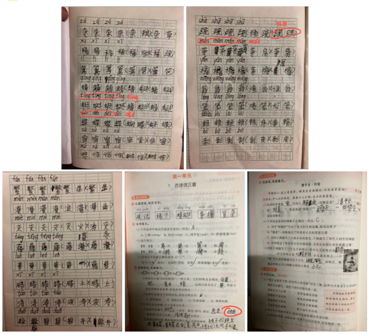 101646893586586077752.png 图片5.png